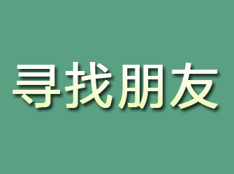 龙井寻找朋友