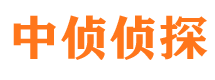 龙井调查事务所